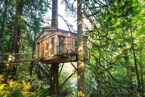 Reviva seus sonhos de infância nestes hotéis em casa na árvore 
